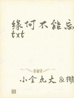 缘何不能忘记你txt