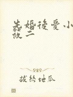 先婚后爱小说梦筱二