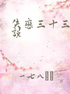 失恋三十三天小说