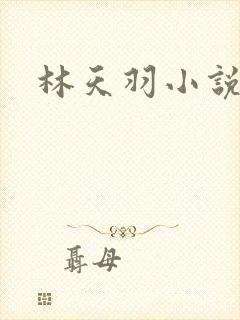 林天羽小说