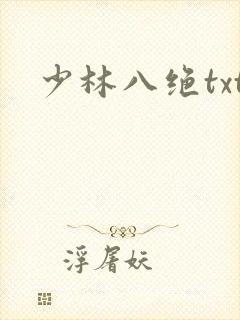 少林八绝txt
