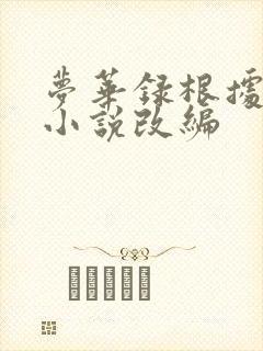 梦华录根据什么小说改编