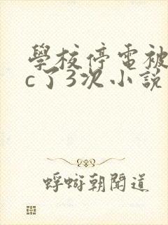 学校停电被同桌c了3次小说网