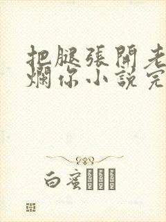 把腿张开老子臊烂你小说完