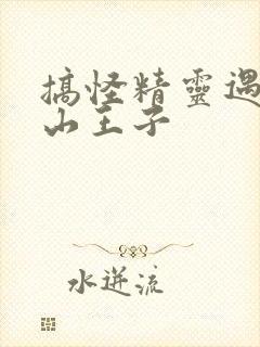 搞怪精灵遇上冰山王子