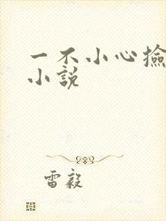 一不小心捡到爱小说