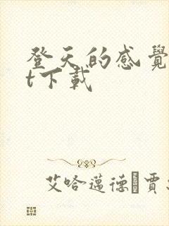 登天的感觉txt下载