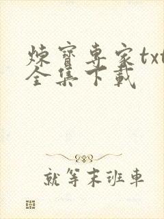 炼宝专家txt全集下载