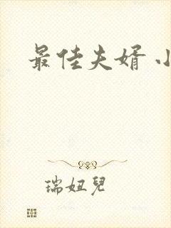 最佳夫婿 小说