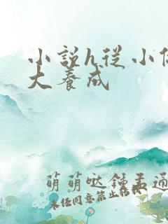 小说h从小做到大养成