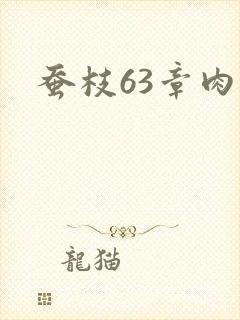 蚕枝63章肉
