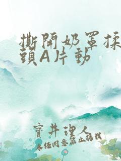 撕开奶罩揉吮奶头A片动