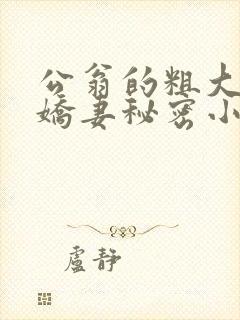 公翁的粗大放进娇妻秘密小说