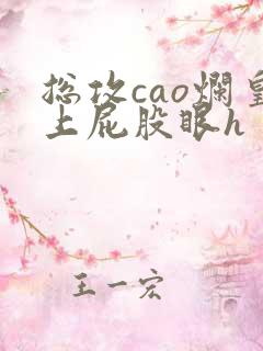 总攻cao烂皇上屁股眼h