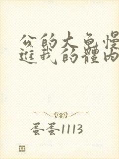 公的大龟慢慢挺进我的体内视频