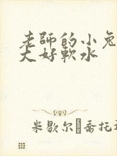 老师的小兔子好大好软水