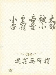 小皇帝被大臣轮番宠爱小说