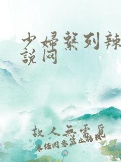 少妇系列辣文小说网