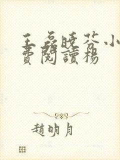 王磊晓芬小说免费阅读杨