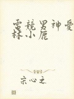 电竞男神爱上我林小鹿