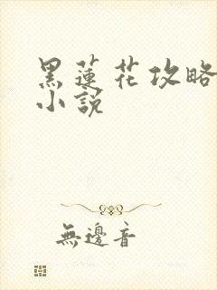 黑莲花攻略手册小说