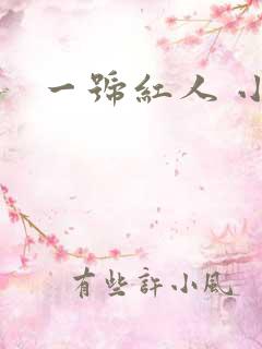 一号红人 小说