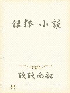 银狐 小说