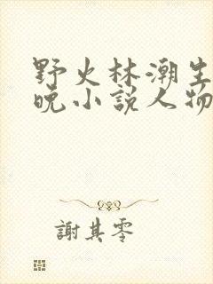 野火林潮生林晚晚小说人物野火