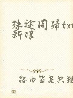 殊途同归txt新浪