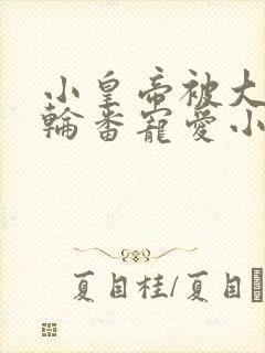 小皇帝被大臣们轮番宠爱小说