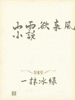 山雨欲来风满楼小说