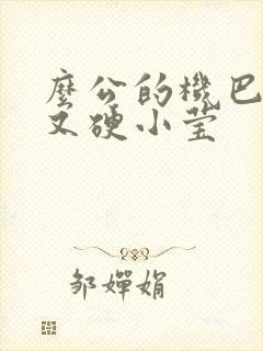 么公的机巴又粗又硬小莹