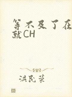 等不及了在车里就CH