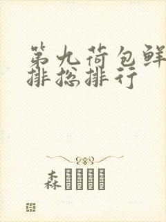 第九荷包鲜辣肉排总排行