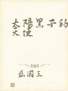 太阳黑子的折翼天使