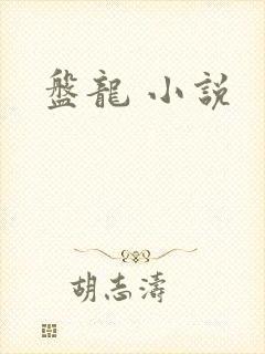 盘龙 小说