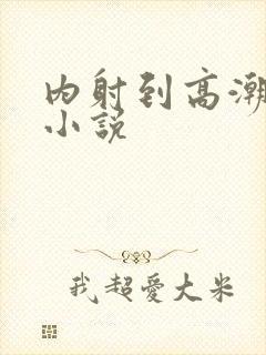 内射到高潮的H小说