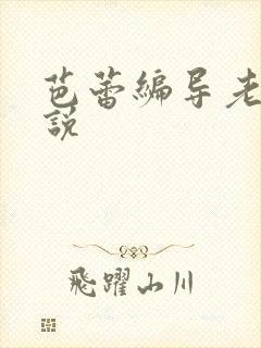 芭蕾编导老师小说