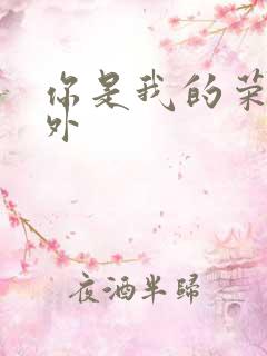 你是我的荣耀番外