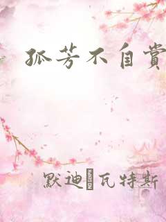 孤芳不自赏小说