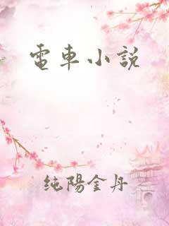 电车小说