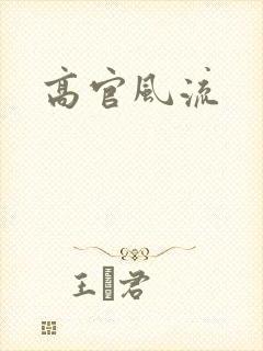 高官风流