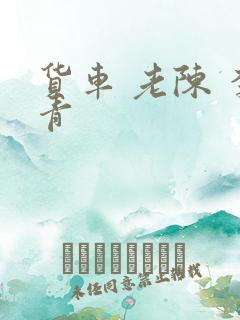 货车 老陈 李青