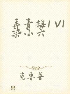 弄青梅1 V1染小六