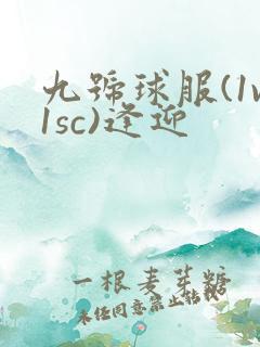 九号球服(1v1sc)逢迎