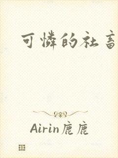 可怜的社畜分手