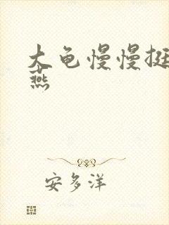 大龟慢慢挺进张燕