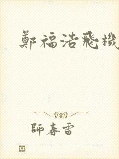 郑福浩飞机坠海