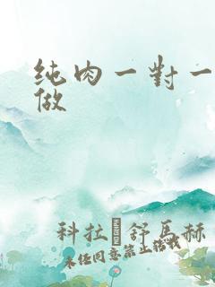 纯肉一对一到处做