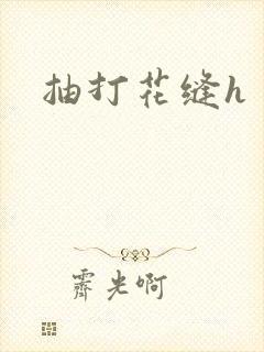 抽打花缝h